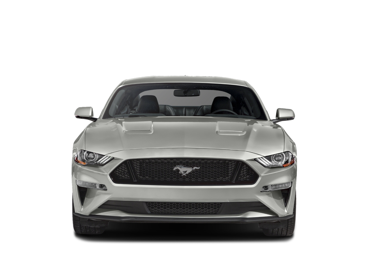 2019 Ford Mustang GT Premium photo 2