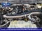 2021 Ford F-150 Tremor