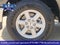 2026 Ford F-150 Base