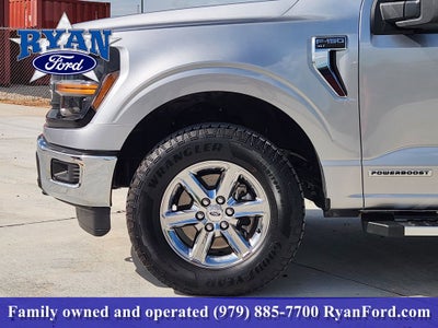 2025 Ford F-150 XLT